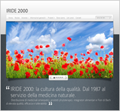 Realizzazione siti Internet - Iride 2000